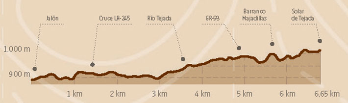 Altimetría Ruta de Tejada